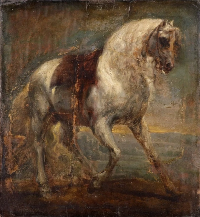 Caballo gris