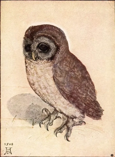 Lechuza