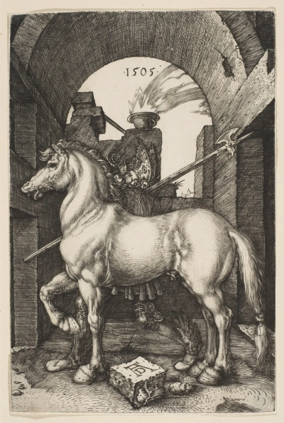 Pequeño caballo