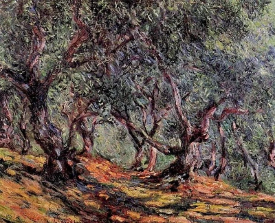 Aceitunas En Bordighera