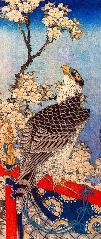 Águila