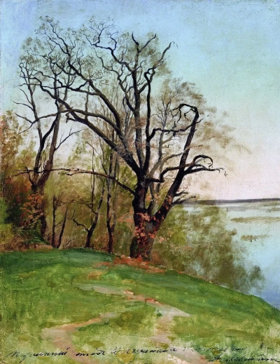 Álamo en la orilla del río.