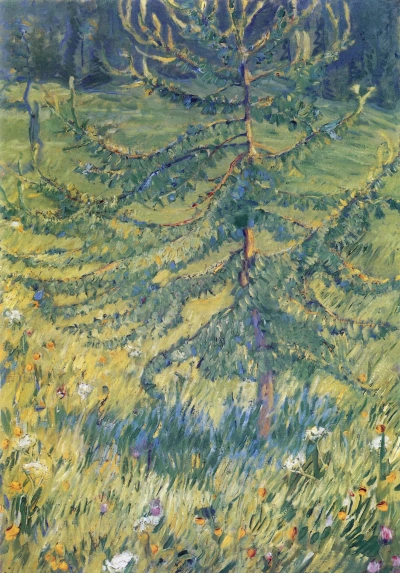 Alerce