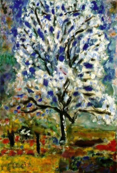 Almond tree in bloom