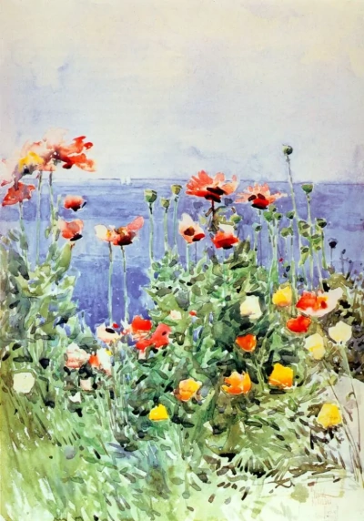 Amapolas en la isla de los islotes