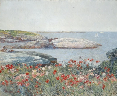 'Amapolas