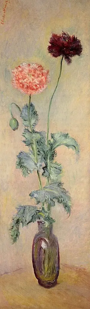 'Amapolas rojas y rosadas'