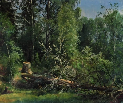 Árbol caído