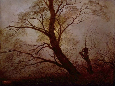 Árboles a la luz de la luna