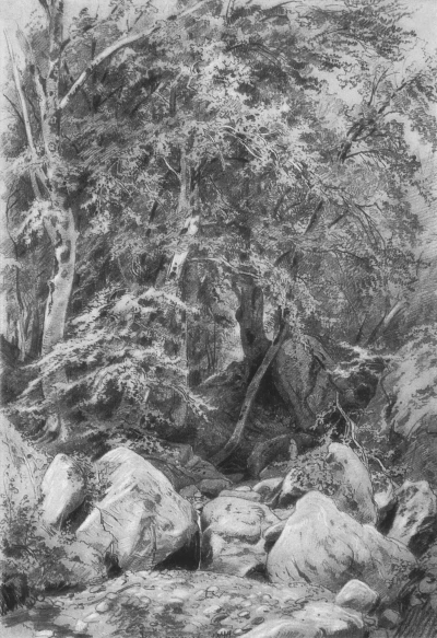 Árboles cerca de un arroyo en el Monte Castel.