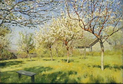 Árboles de manzanas en flor.