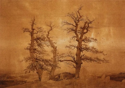 Árboles