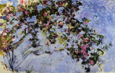 Arbusto de Rosas