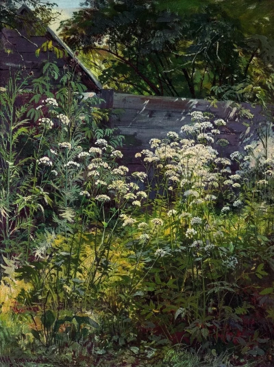 Área de jardín cubierta de maleza. Hierba de lucha.