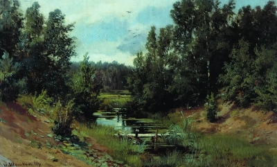 Arroyo del bosque