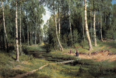 Arroyo en el bosque de abedules