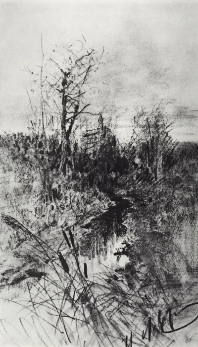"Arroyo"