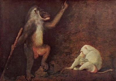 Babuino y mono albino