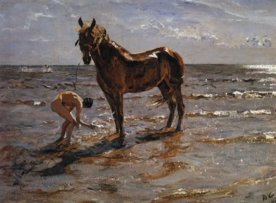 Baño de caballos.