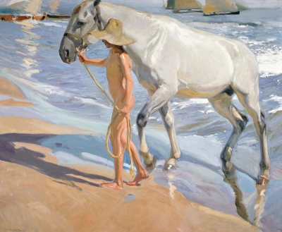 Baño de un caballo