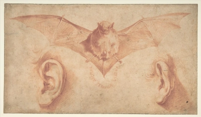 Bat y dos orejas