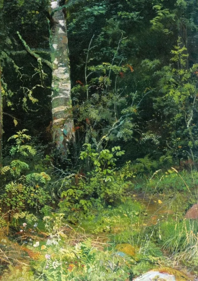 Birch and Rowan