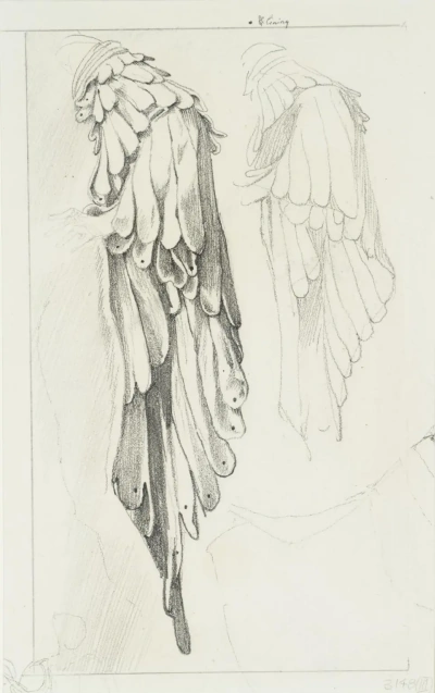Boceto de una manga