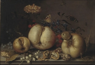 Bodegón con frutas y conchas sobre la mesa.