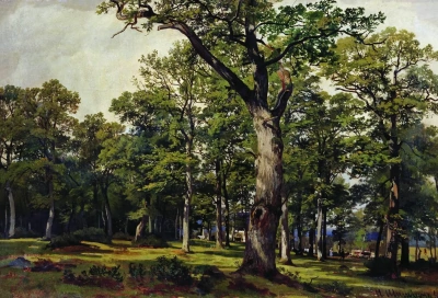 Bosc d'alzines