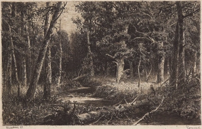 Bosque caducifolio