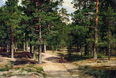 Bosque de Sestroretsk