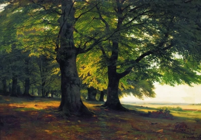 Bosque de Teutoburgo
