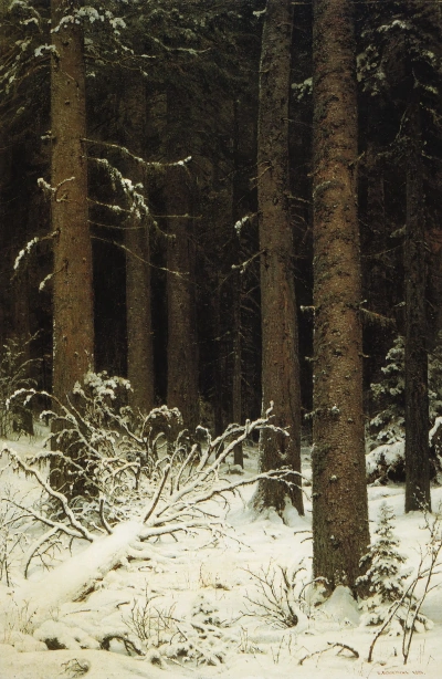 Bosque de abetos en invierno.