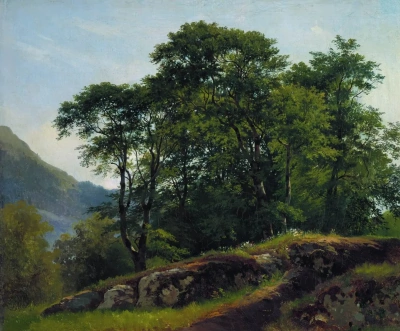 Bosque de haya en Suiza