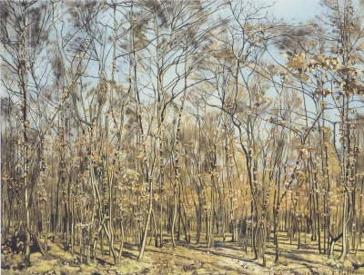 Bosque de haya