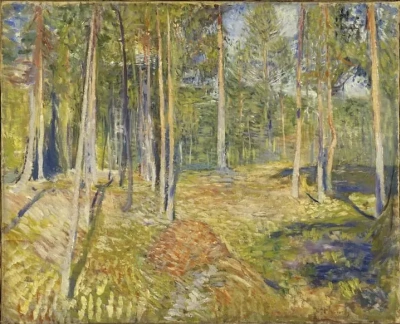 'Bosque de pinos'