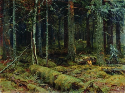 Bosque oscuro