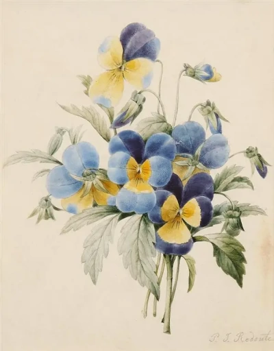 Bouquet: Pensamientos
