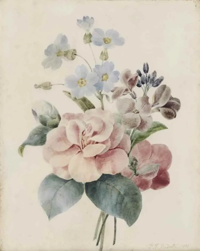 Bouquet: camelia rosa y primula azul.