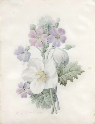 Bouquet: flor blanca y primaveras.