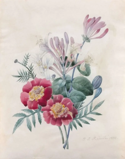 Bouquet: madreselva y caléndula.