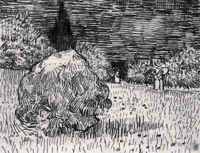 Bush in a park in Arles