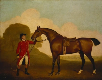 Caballo con jockey