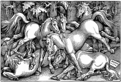 Caballo y perros corriendo por el campo.