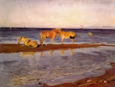 Caballos en la playa.