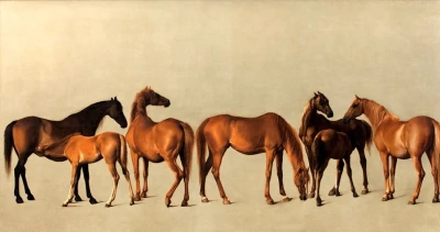 Caballos y potros sin fondo.