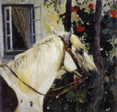 Cabeza de caballo