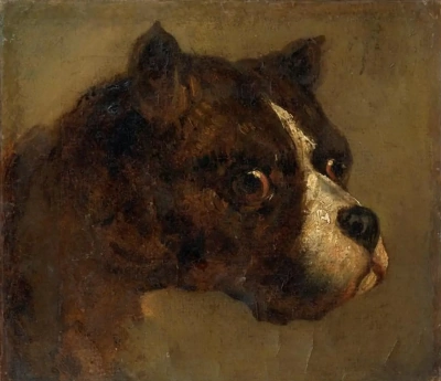 Cabeza de perro