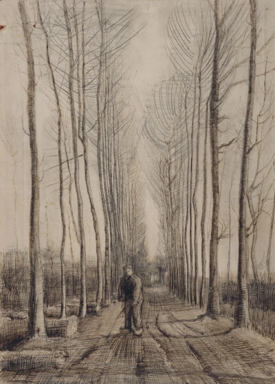Calle con álamos