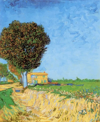 Calle rural cerca de arles